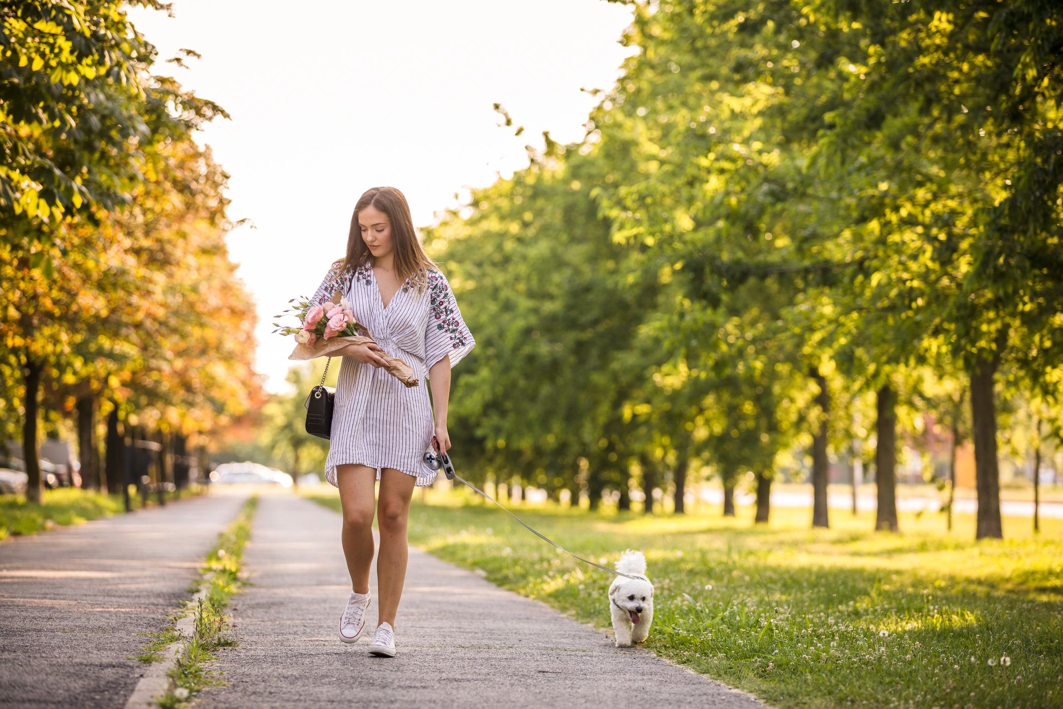 Dog walker heading down a tree-lined sidewalk with a dog