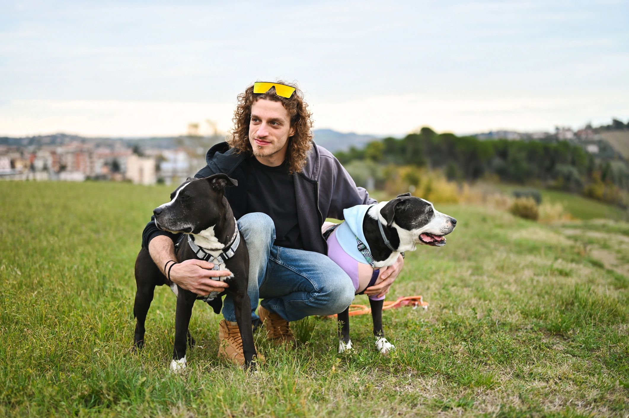 Happy dogs enjoying outdoor attention in a park