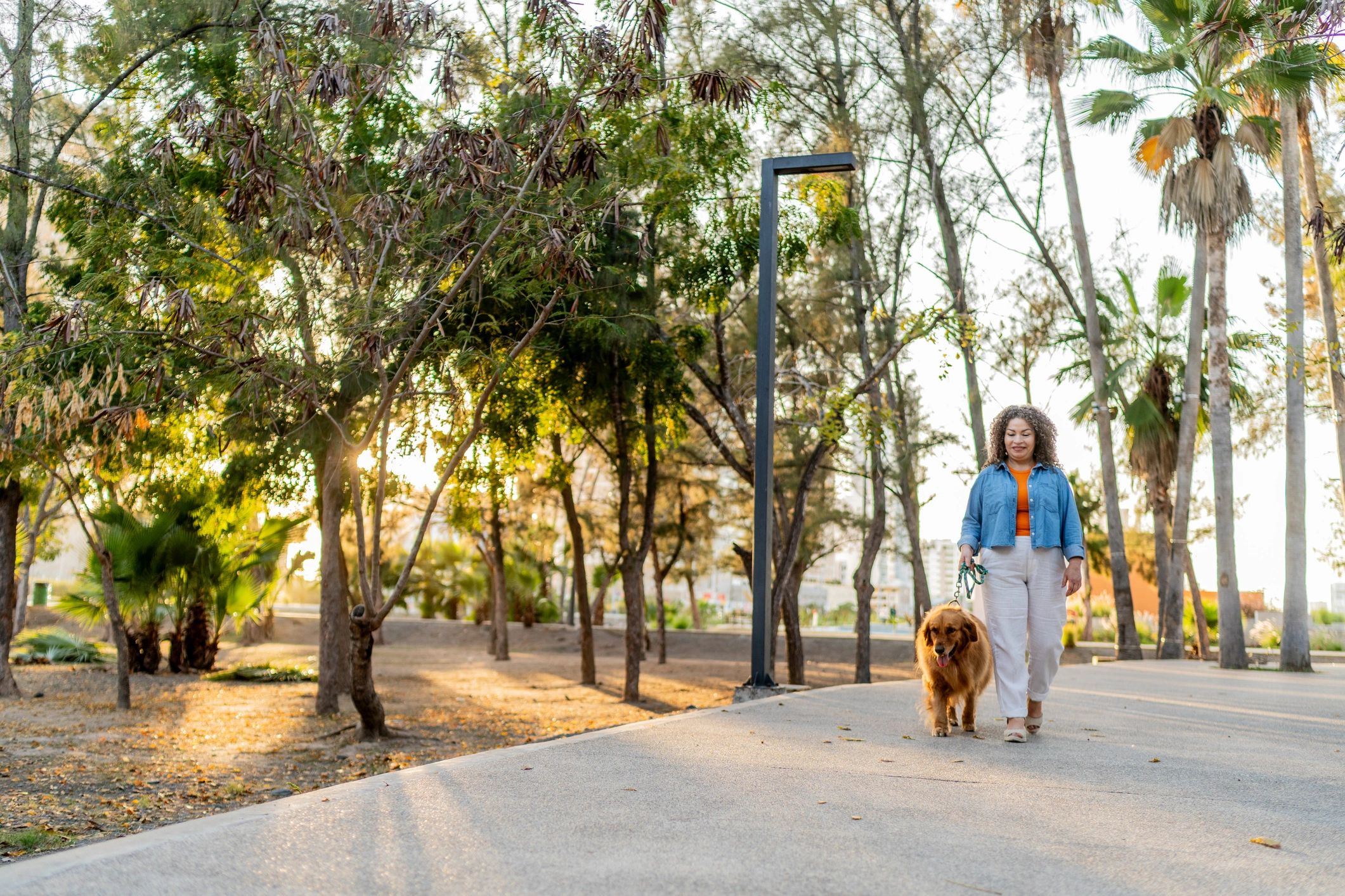 Senior woman walking with golden retriever in a park